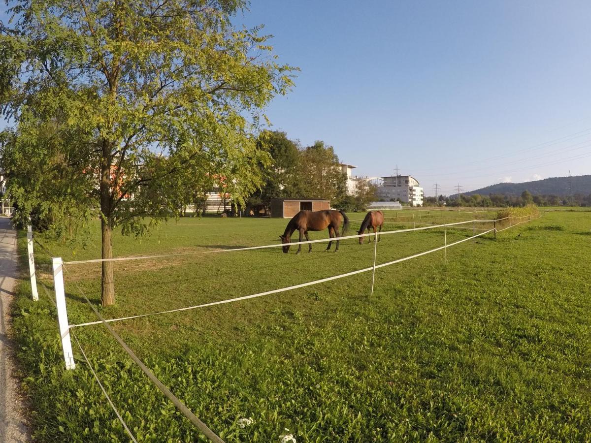 Pearl Of Sava Wild Waters Villa Ljubljana Exterior photo